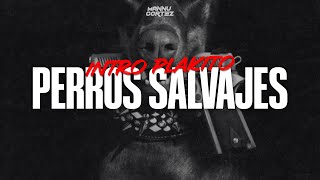 🐶 Perros Salvajes  Intro Plakito Remix  Daddy Yankee ✘ Yandel ✘ DJ Mannu Cortez [upl. by Roseanna]