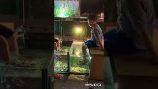 Fish Spa in Phuket Thailand [upl. by Weiman]