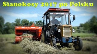 ☆Sianokosy 2017 po Polsku☆ MF255ampUrsus C330 ㋡ Rozpoczęcie wakacji ㋡ [upl. by Eniffit641]