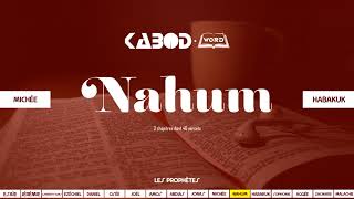 « Nahum » LAncien Testament  La Sainte Bible audio VF Complète [upl. by Tyne]