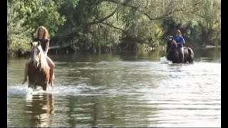 Riding in the river with our horses [upl. by Yenwat566]