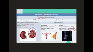 Hormones of Pituitary Gland [upl. by Lanevuj]