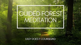 Guided Meditation  Beautiful Forest Walk [upl. by Anahahs]