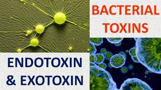 Bacterial toxins Endotoxin amp Exotoxin [upl. by Lewendal220]