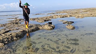 Hari ke 18 di Pulau Terpencil KUBANGAN AIR DI PENUHI GEROMBOLAN IKAN 😱 [upl. by Giarla143]