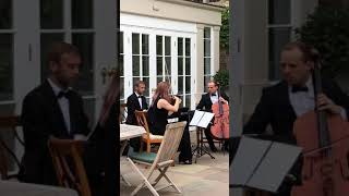 Youve Got a Friend in Me Violin Cello amp Piano  Trio Vivo at Goldsborough Hall [upl. by Kolodgie]