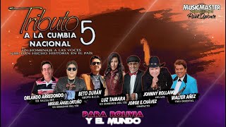 Tributo a la Cumbia Nacional 5 4K [upl. by Nomled]