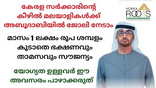 Norka RootsJob Vacancy in abudhabiUae jobs malayalamGulf jobs in malayalam [upl. by Moitoso]