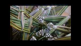 Prayer of St Brigid [upl. by Choo]