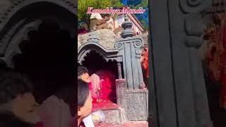 Kamakhya mandir 🛕  music love youtubeshorts shortsvideo goviral [upl. by Isewk]