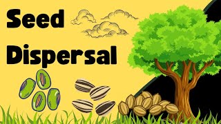 Seed Dispersal Explained for Kids  Wind Water amp Animal Seed Dispersal Learning Lounge209 [upl. by Kciredor]