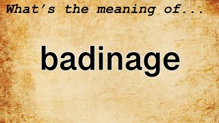 Badinage Meaning  Definition of Badinage [upl. by Aihsek]