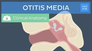 Middle ear infection Otitis media Definition pathogenesis symptoms and treatment  Kenhub [upl. by Edmead]