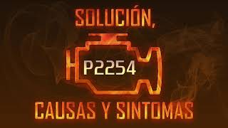 Código P2254 — Solución Causas y Sintoma [upl. by Acyre528]