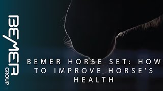 Bemer for Horses How to Improve Horse Health with BEMER Horse Set [upl. by Ahsenev]