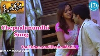 Chepaalanundhi Song  Ontari Movie Songs  Gopichand  Bhavana  Sunil [upl. by Nye]