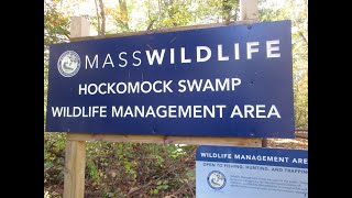 Hockomock Swamp Jam [upl. by Justinian612]