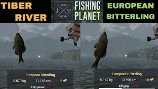 Fishing Planet Tiber River Italy European Bitterling [upl. by Ecidnacal]