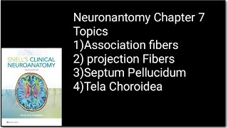 White Matter Of Cerebrum part 2Association fibersProjection FiberSeptum PellucidumTela Choroidea [upl. by Myrtie]