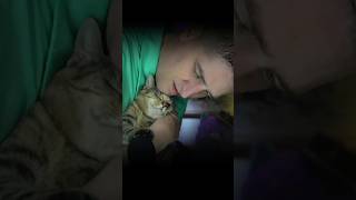 ASMR Kitty Purrs and Cuteness Relaxing Soothing Comforting [upl. by Magnusson]