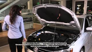 Volkswagen HowTo  Checking Engine Coolant [upl. by Hildegarde]