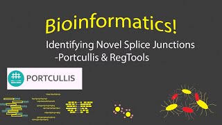 Bioinformatics  Identifying New RNAseq Splice Junctions Timestamps [upl. by Ressan]