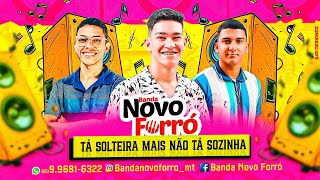 Banda Novo Forró  Tá Solteira Mais Não Tá Sozinha LambaZouk Lançamento Atualizado Outubro 2024 [upl. by Shaughnessy165]