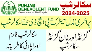 Punjab Benevolent Fund Scholarship 2024  Punjab Govt Scholarship for Matric Inter Bachelor amp Master [upl. by Siusan]