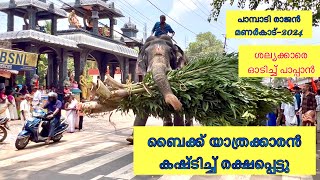 Pampady Rajan ബൈക്ക്കാരൻ കഷ്ടിച്ച് രക്ഷപ്പെട്ടു ശല്യംചെയ്തവരെ ഓടിച്ച് രണ്ടാംപാപ്പാൻVMPRADEEP [upl. by Voe388]