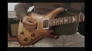 PRS P24 Demo LRBaggs Piezo and PRS 5310 pickup combination [upl. by Tcideneb]