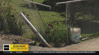 Uniontown homeowner says Dollar General truck destroyed fence and yard [upl. by Halak]