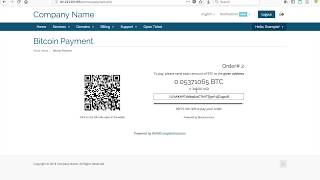 How to accept Bitcoin on WHMCS 2020 [upl. by Ayikin898]