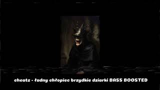 cheatz  ładny chłopiec brzydkie dziarki BASS BOOSTED [upl. by Leahcar447]