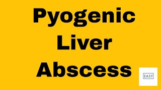 HEPATIC DISORDERS LIVER DISEASES 15 Pyogenic Liver Abscess [upl. by Nine]