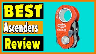 Ascenders  Top 5 Best Ascenders [upl. by Ysied]