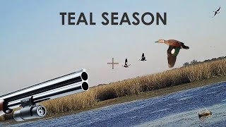 Duck Hunting Teal  25 Kills  by ShotKam [upl. by Rolland]