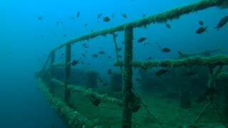 Wreck Dive Peltastis  Diving in Krk Croatia [upl. by Oremo815]