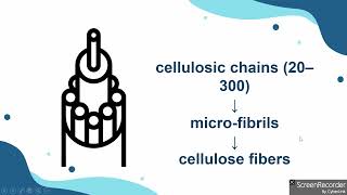 藥用高分子化學A組：Microcrystalline cellulose [upl. by Fremont]