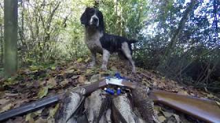 WOODCOCK HUNTING IN IRELAND [upl. by Renado]