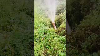 Water Sprayer reels ytshorts spray watersupply [upl. by Philander]