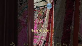 Tose Naina Jab Se Mile radhavallabh vrindavan radhakrishna viralshort ytshorts [upl. by Ettelrac]