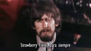 Strawberry fields forever  for 60 minutes Loop forever [upl. by Rafa617]