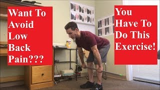 Posterior Chain Muscles and How To Strengthen Them [upl. by Eyaj946]