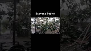 Bagyong Pepito [upl. by Ettennaj]