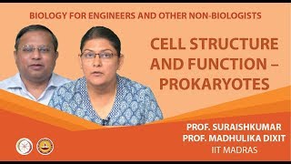 Cell structure and function  Prokaryotes [upl. by Tennes27]