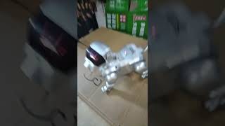 quotSchneider Electricquot Robot Dog [upl. by Stevy]