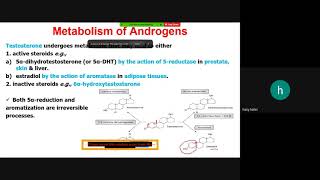 Steroid hormones Lec 8 part 2 [upl. by Neahs176]