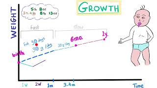 Childhood Growth Part 1 the first year [upl. by Otreblide]