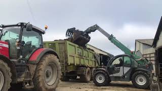 curage de fumier 2021Massey Ferguson avec une Benne sodimac télescopique kramer [upl. by Lovel]