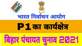 P1 ka karya kchetra  Polling officer1duty  P1  matdan adhikari P1 ke kam  first polling officer [upl. by Brink]